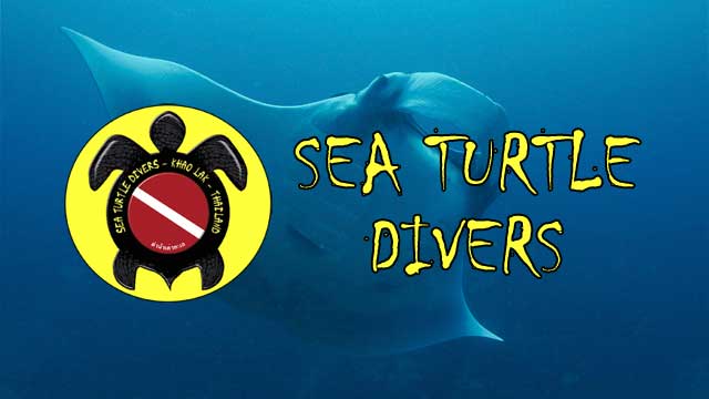 Sea Turtle Divers Khao Lak, Thailand – Schaut bei uns rein Sea Turtle Divers Khao Lak, Thailand - Schaut bei uns rein
