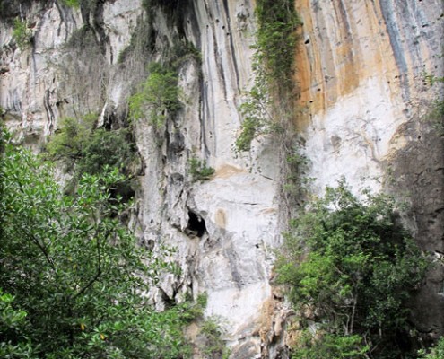 Kalksteinwände um Krabi