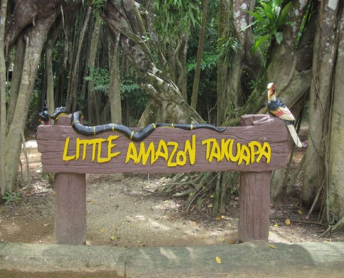 Little Amazon Takuapa