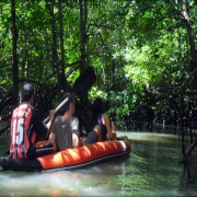 Kajakfahren in den Mangroven