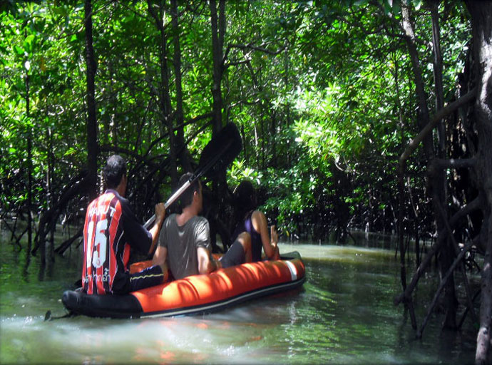 Cayaking in the Mangroves
