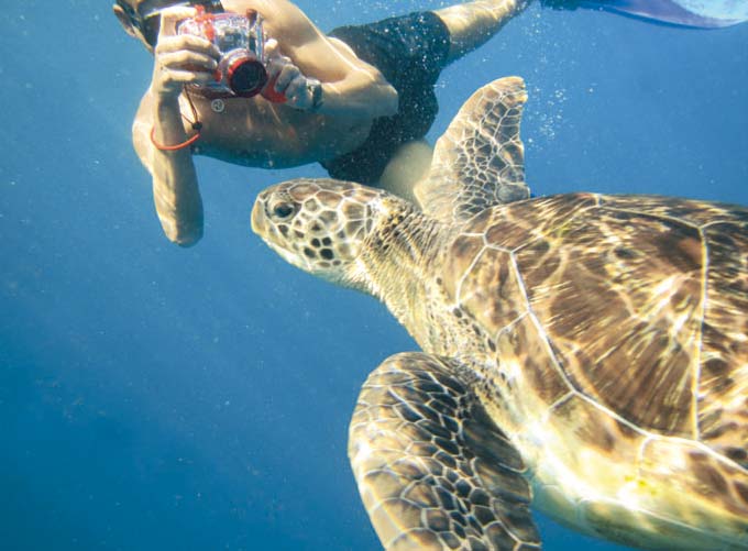 Erfahren Sie die wunderbare Unterwasserwelt der Similan Islands sowie des Surin Marine Parks. Erfahren Sie die wunderbare Unterwasserwelt der Similan Islands sowie des Surin Marine Parks.