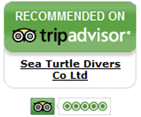 TripAdvisor