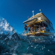 Sea Turtle Divers Tauchsafari Thailand Sea Turtle Divers Tauchsafari Thailand