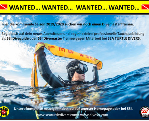 Ausbildung zum Divemaster