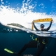 Divemaster mit Sea Turtle Divers