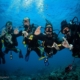 Open Water Diver mit Sea Turtle Divers
